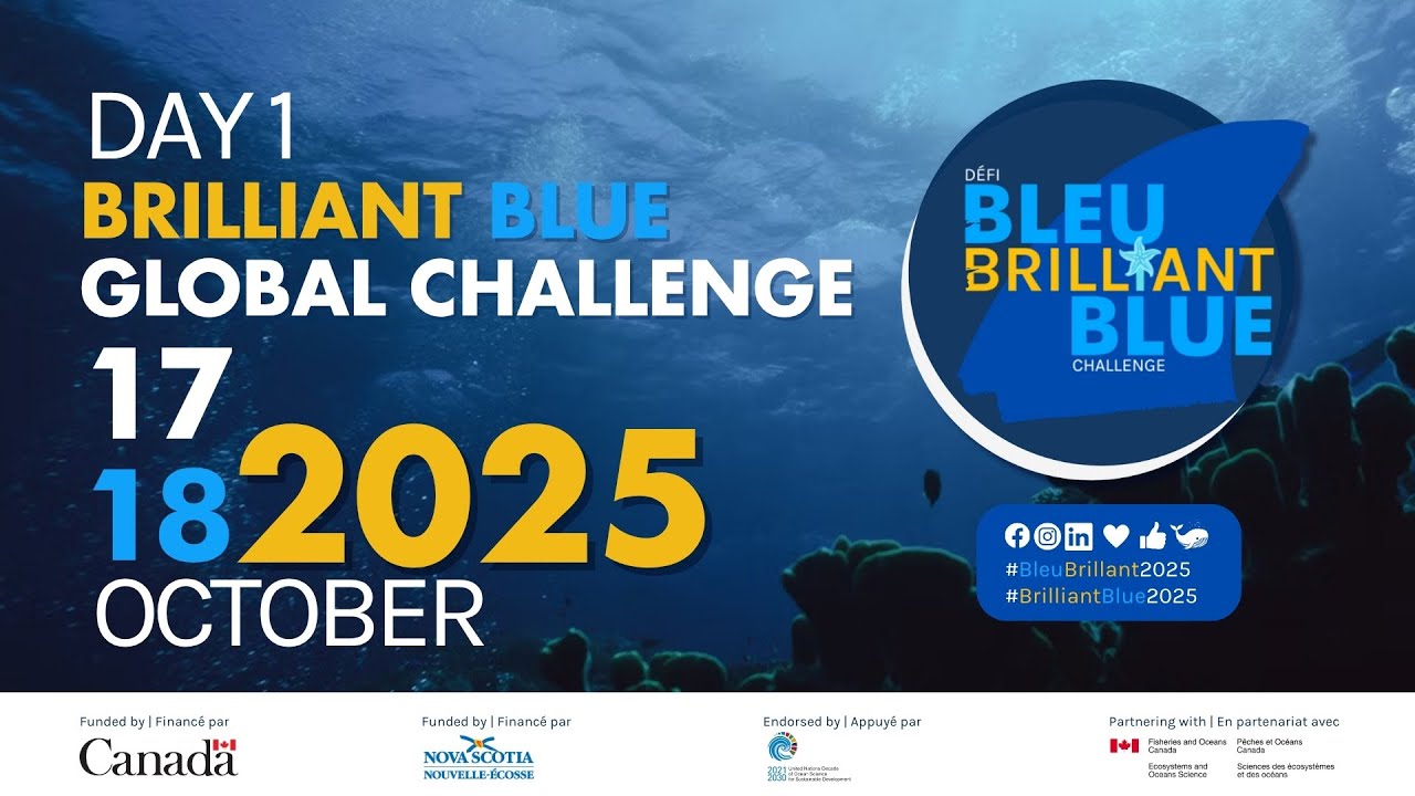 Brilliant Blue International 2025 Day 1 Public Presentations