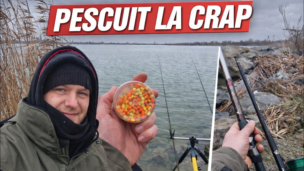 Provocarea iernii: Strategii de succes pentru crapii cantonați pe fundul gropilor