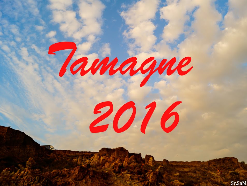 Tamagne 2016