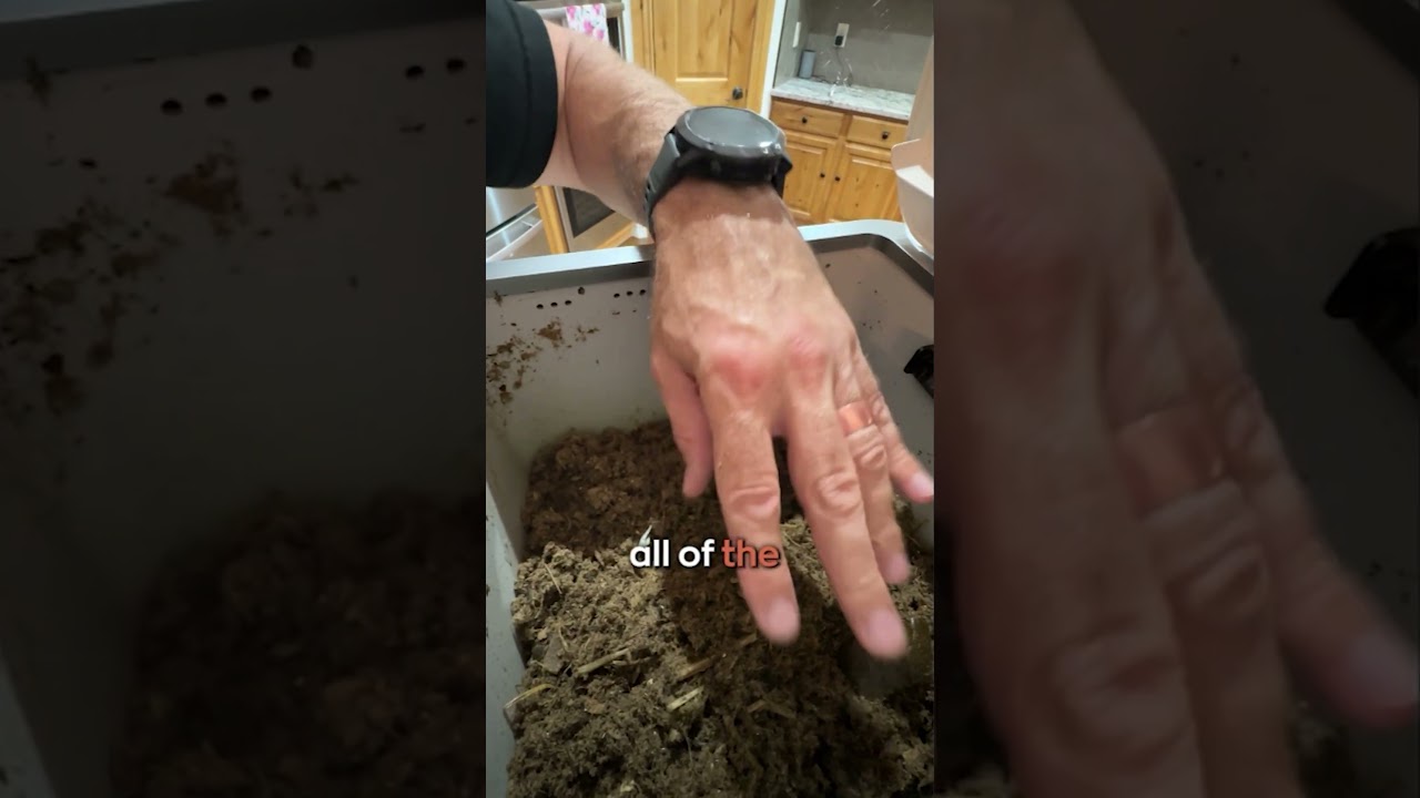 Keep Your Composter Clean and Well-Maintained