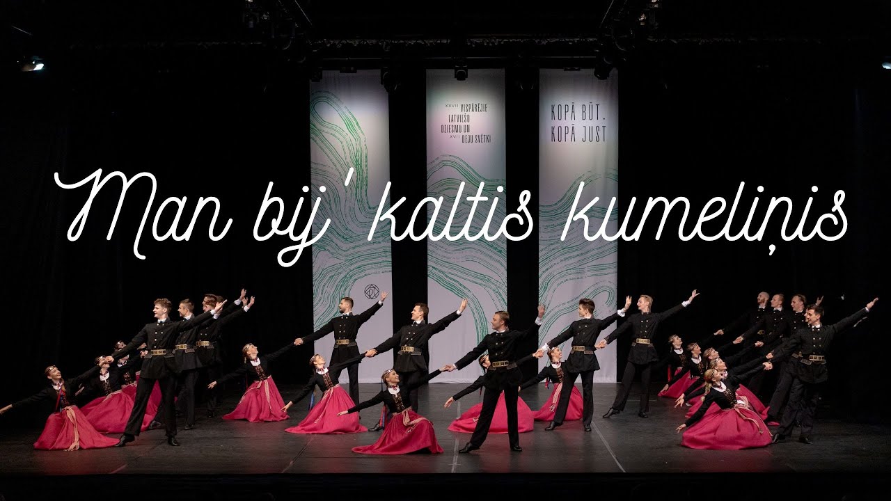 RTU TDA Vektors - MAN BIJ' KALTIS KUMELIŅIS
