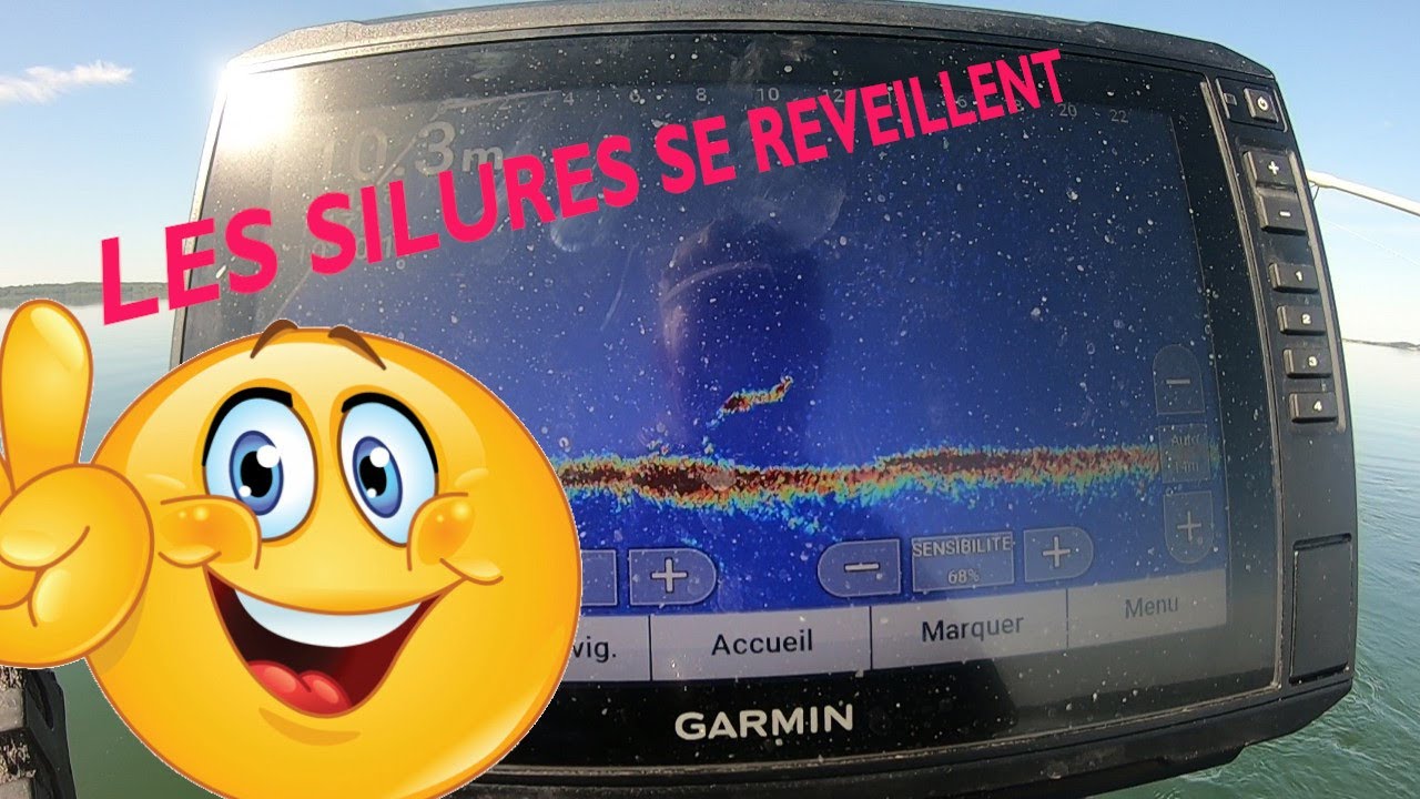 GARMIN LIVESCOPE !!!Les silures se reveillent !!!