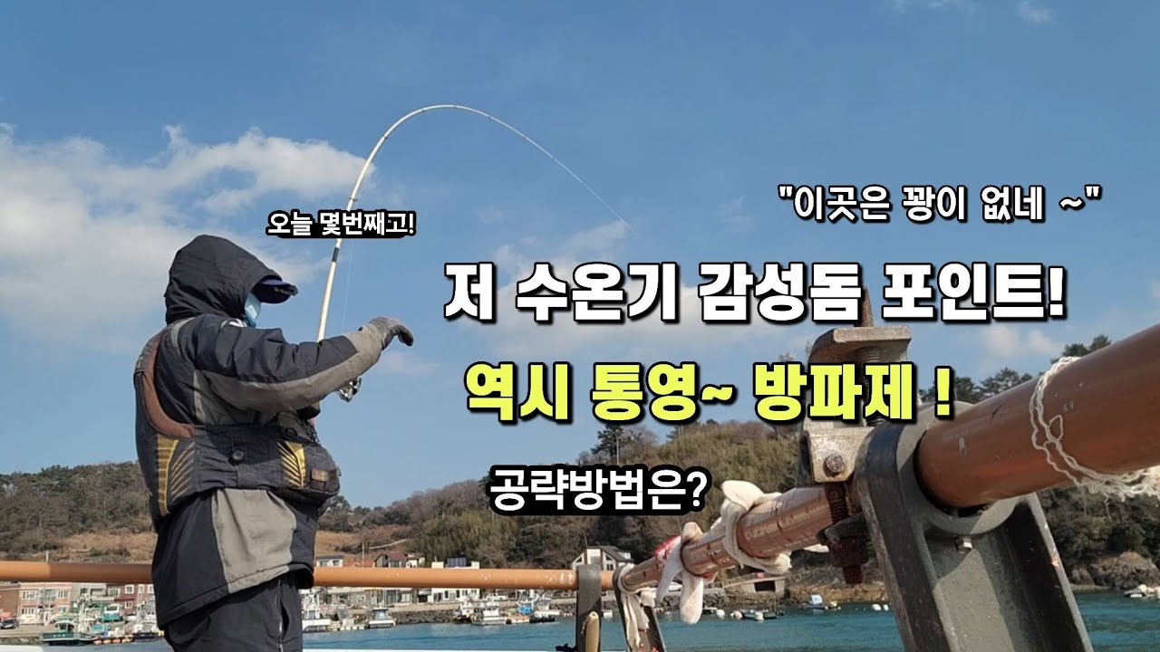 역시 통영~ 방파제~저 수온기 감성돔 최고의 도포 포인트 네요!