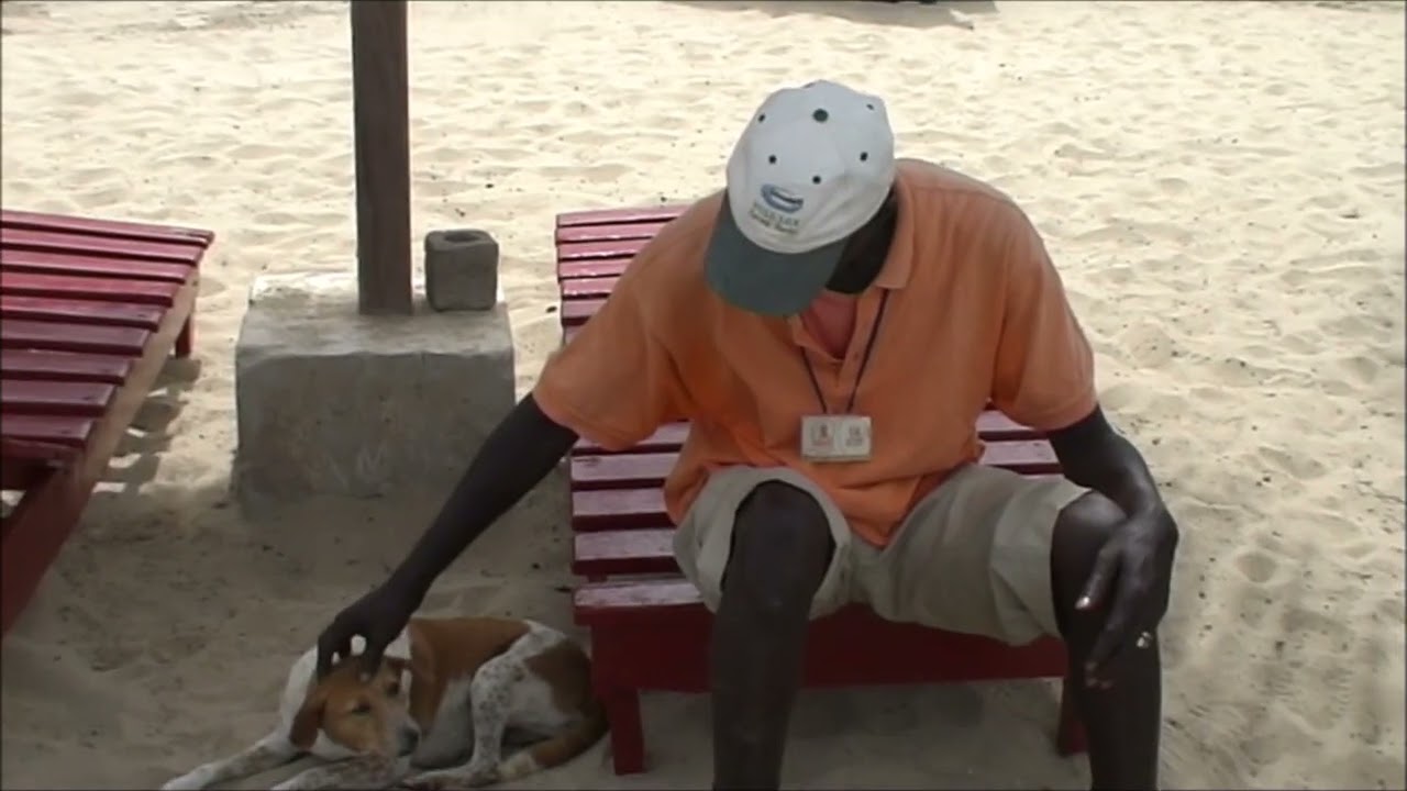 My Harry gambia movie