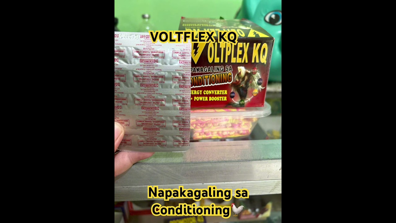 VOLTFLEX KQ||Napakagaling sa Conditioning🐓#conditioning