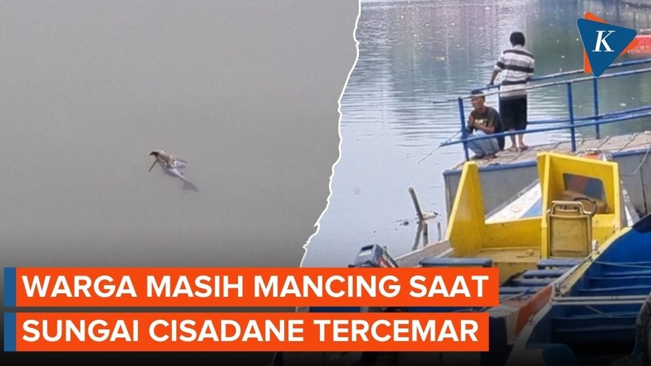 Kondisi Terkini Sungai Cisadane Tangerang yang Tercemar Pestisida akibat Kebakaran Gudang