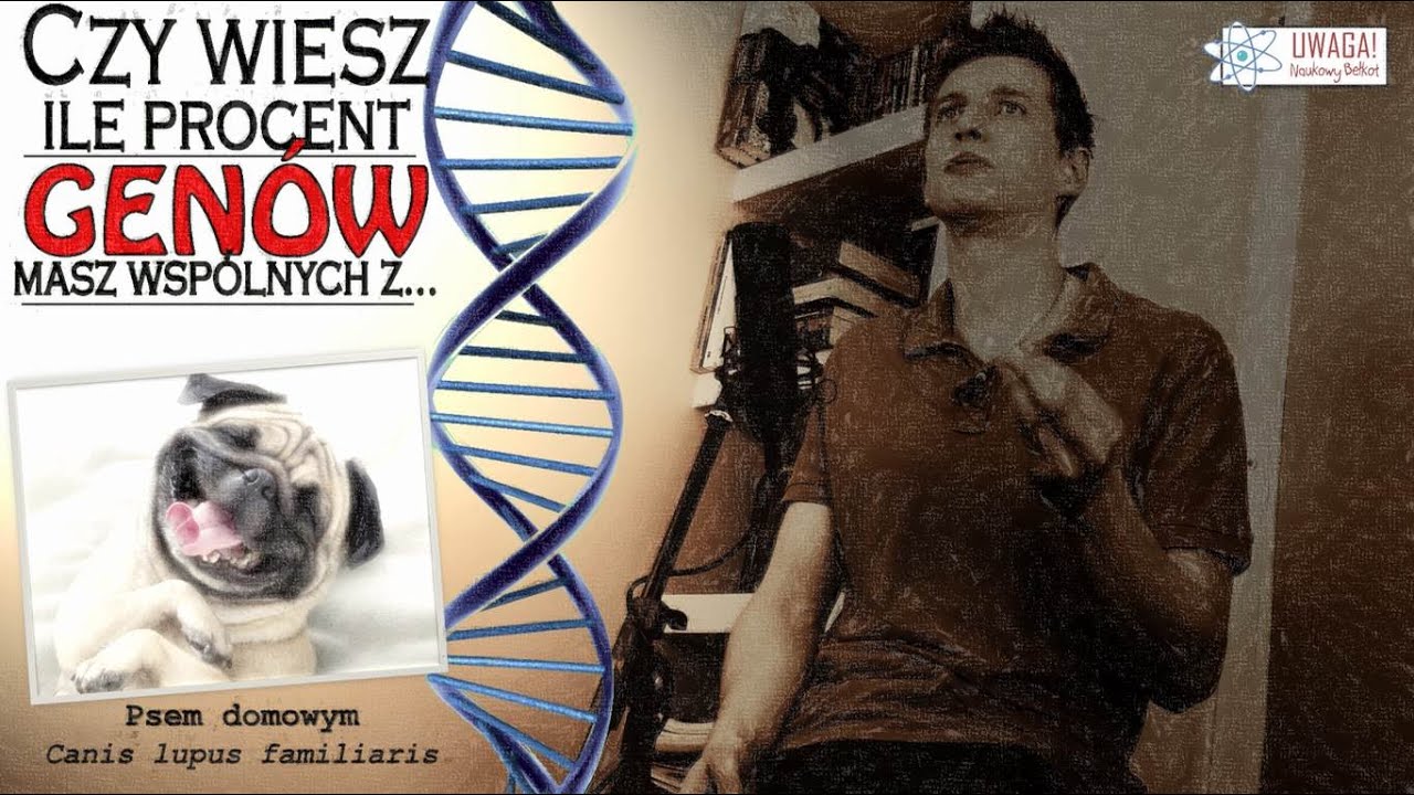 Ewolucja - teoria prawdziwa | Słowo na sobotę #26