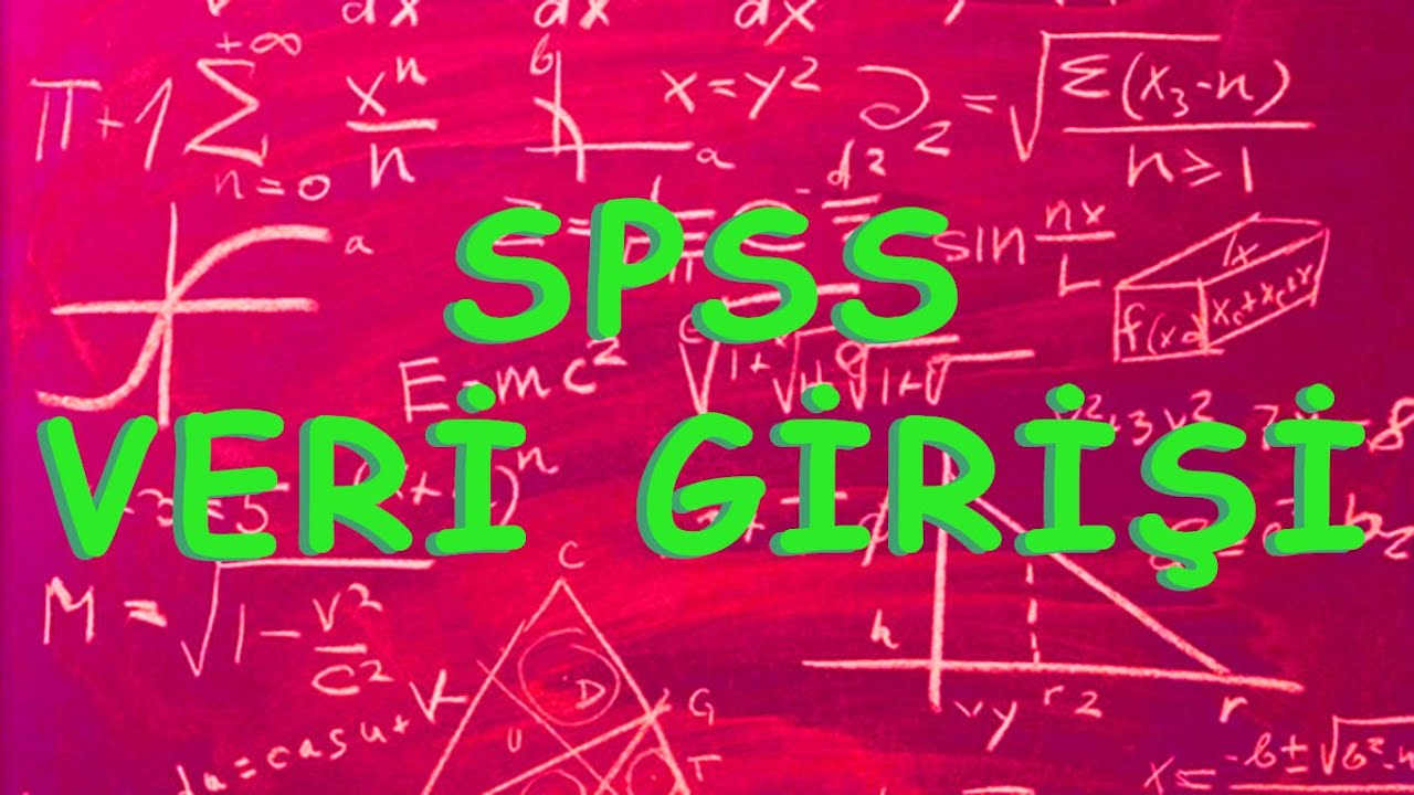 SPSS Veri Giriş Nasıl Yapılır?