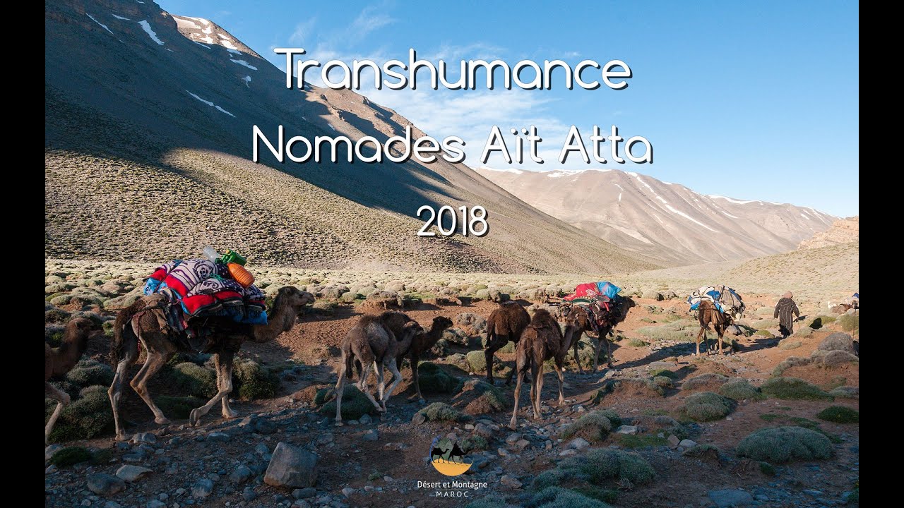 Transhumance des nomades Aït Atta - 2018