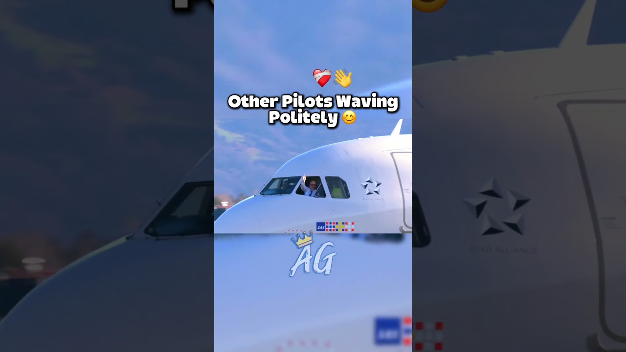 The Pilot Does Not Like Planespotters… 😭☠️ 