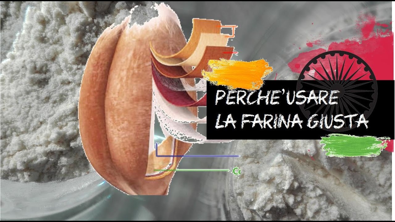 Quale farina usare per fare il pane indiano chapati ... e non solo ?