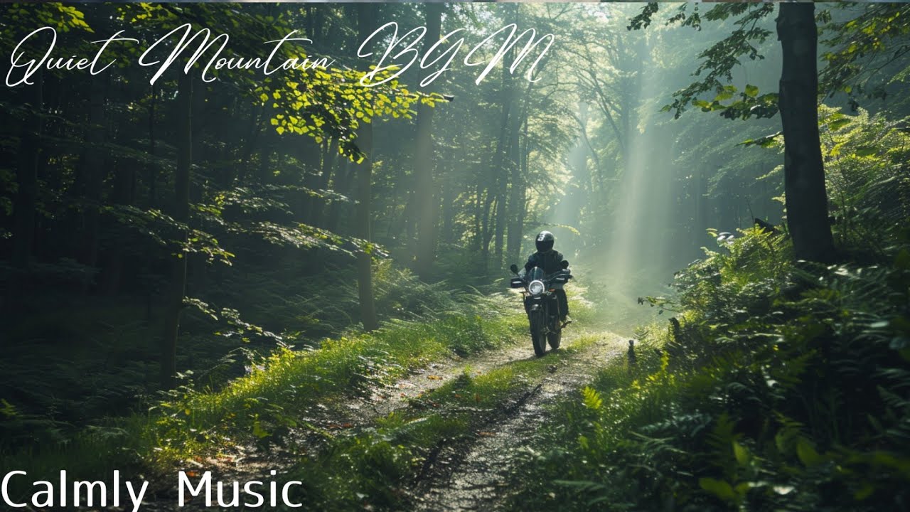 Forest Morning Ride &mdash; Calm & Reflective BGM