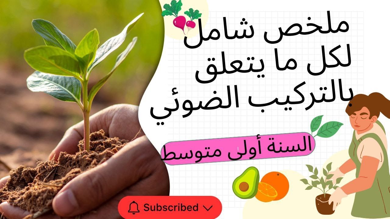 🔥التركيب الضوئي وشروط التحكم فيه 🌿 ملخص سريع ومفهوم قبل الاختبار ☘️ السنة أولى متوسط ⚡ 