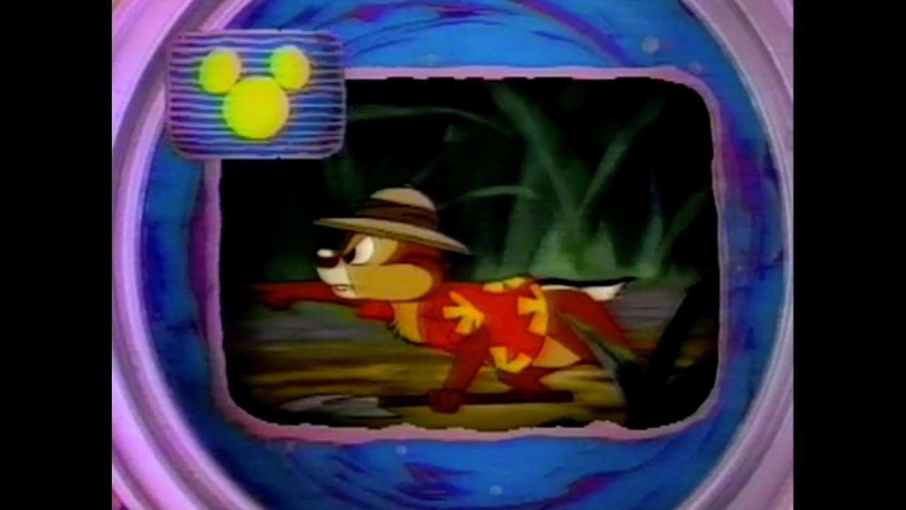 The Disney Channel commercial break (March 5, 1997)