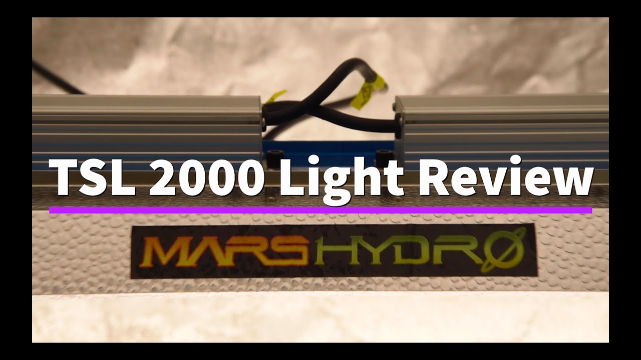 TSL 2000 MarsHydro Light Unboxing & Review