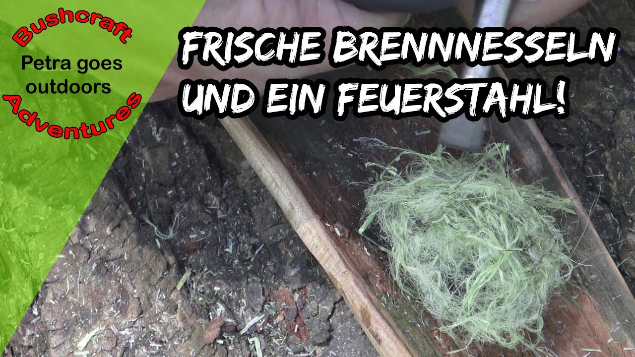Feuer mit frischer Brennnessel und Feuerstahl? Geht das?