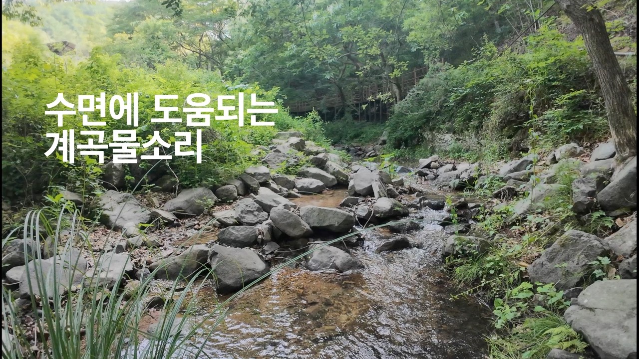 불면증에 도움되는 계곡물소리, 백색소음, 수면, ASMR,휴식,공부,업무집중/3분영상후 블랙