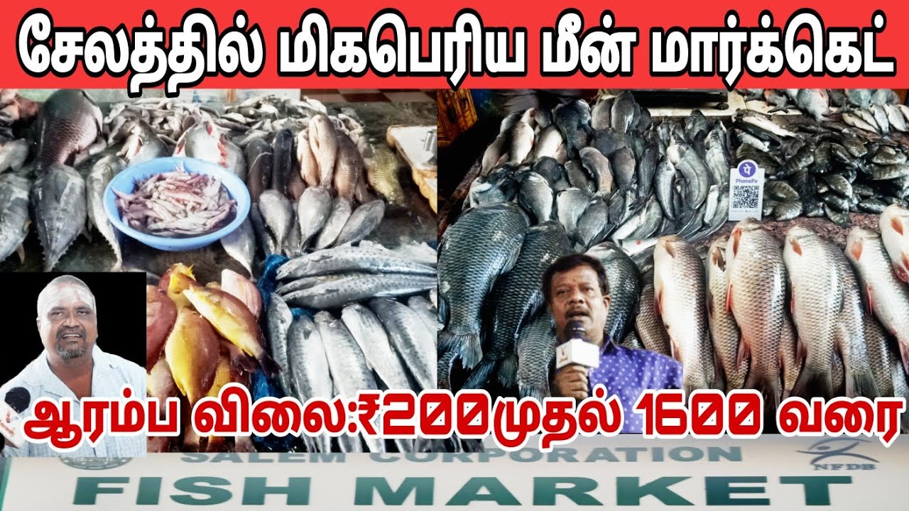 எங்கும் இல்லாத RATE  fish market ah Inga ellame iruku 
