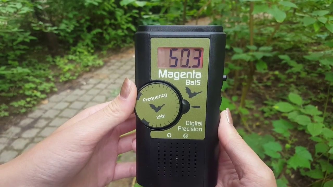 Bat Meter Tutorial - Magenta Bat5