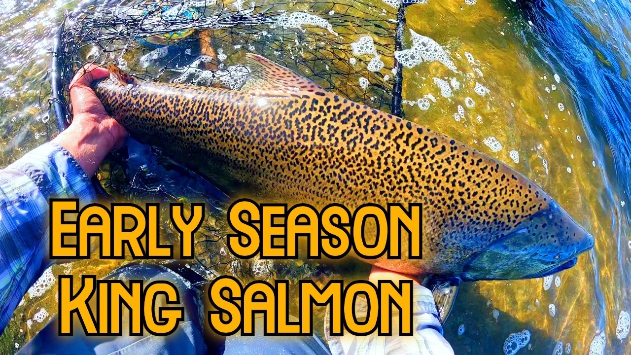 I Caught My First Ever King Salmon! (Salmon River, NY)