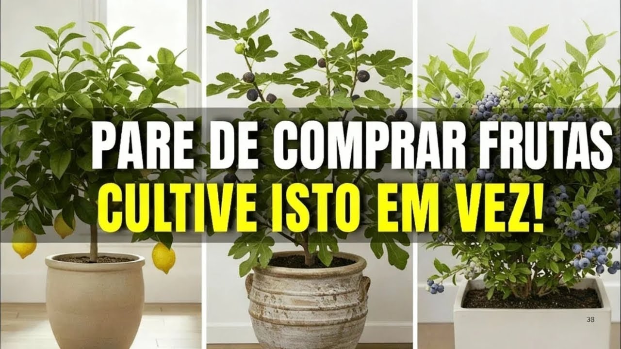 7 árboles frutales que puedes cultivar en macetas — ¡incluso en los espacios más pequeños!