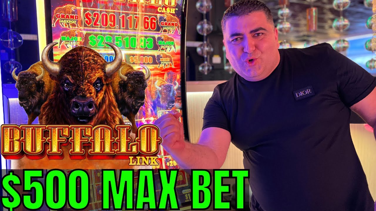 $500 MAX BET Bonus on High Limit Buffalo Link Slot Machine - The BIGGEST BETS Possible!