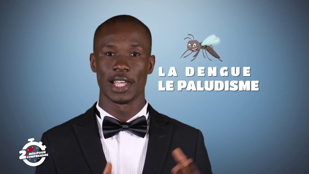 2 MN pour Comprendre ''LE MOUSTIQUE'' du 02 MAI 2018 par Polus Agathon