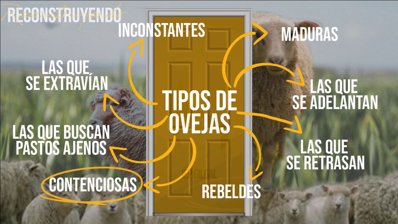 La oveja perniquebrada 0