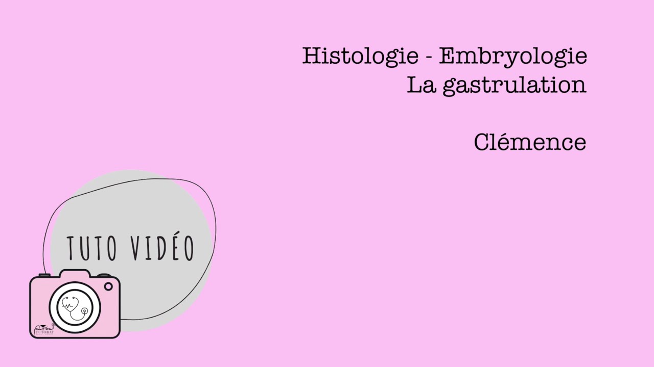 Histologie - Embryologie – La gastrulation