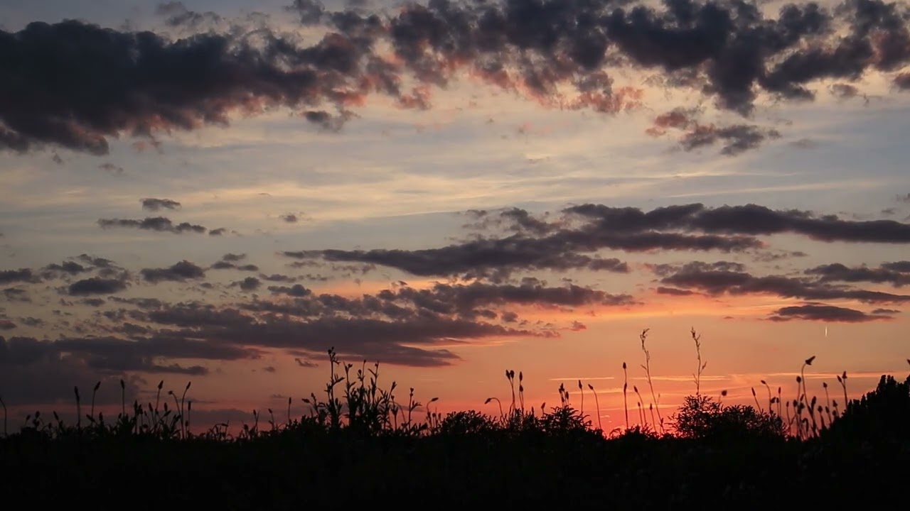 Sunset Serenity – Relaxing Field Ambience with the Sounds of Crickets and Birds