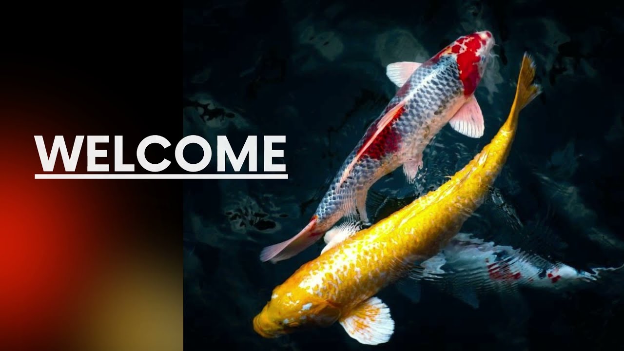 HELLO AND WELCOME TO AHN GREAT LIFE