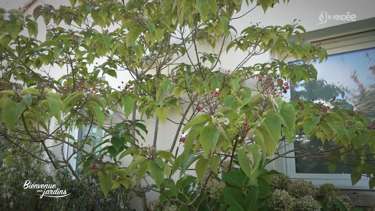 Bienvenue aux jardins – Jardin de Brigitte