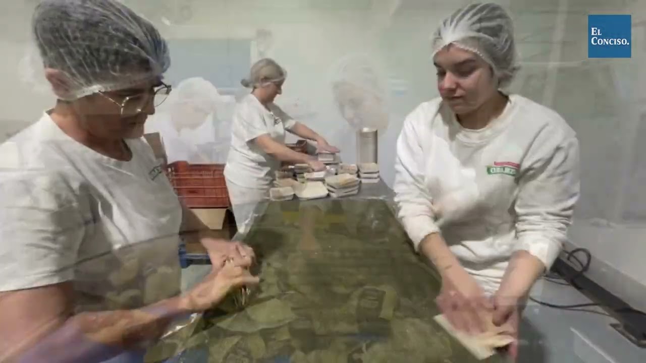 Panadería Obando prevé invertir más de diez millones en su nueva planta