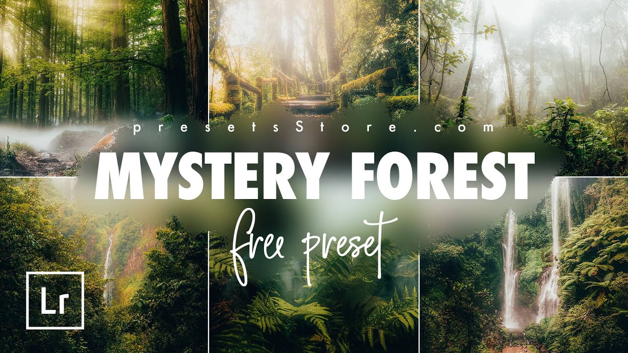Mystery Forest — Бесплатный Пресет Лайтрум | Пошагово | DNG | Природа Пресет | Зелёный Пресет