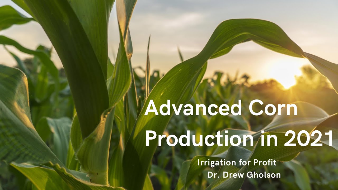 Advanced Corn Production in 2021
