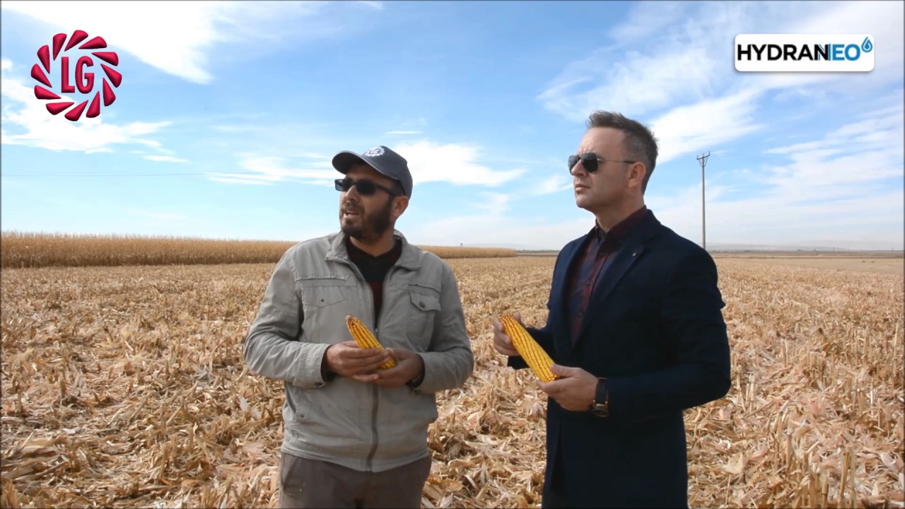 Limagrain Türkiye LG HYDRANEO