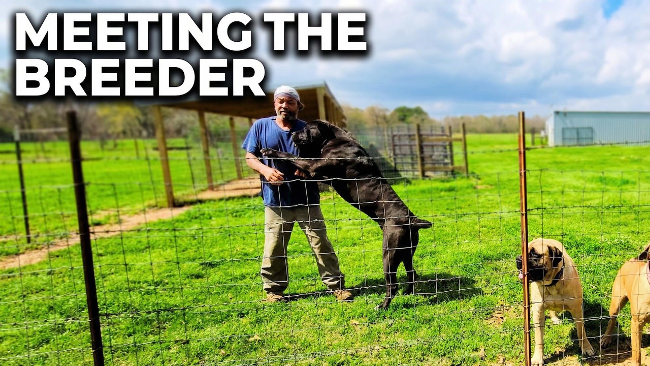 Touring @Cypressbayouboerboels  100+ Acre Ranch!!! 😱🐾