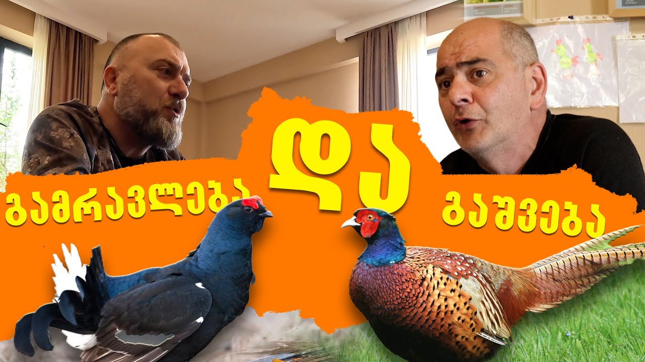 საუბრები ნადირობაზე / გოჩა კობერიძესთან