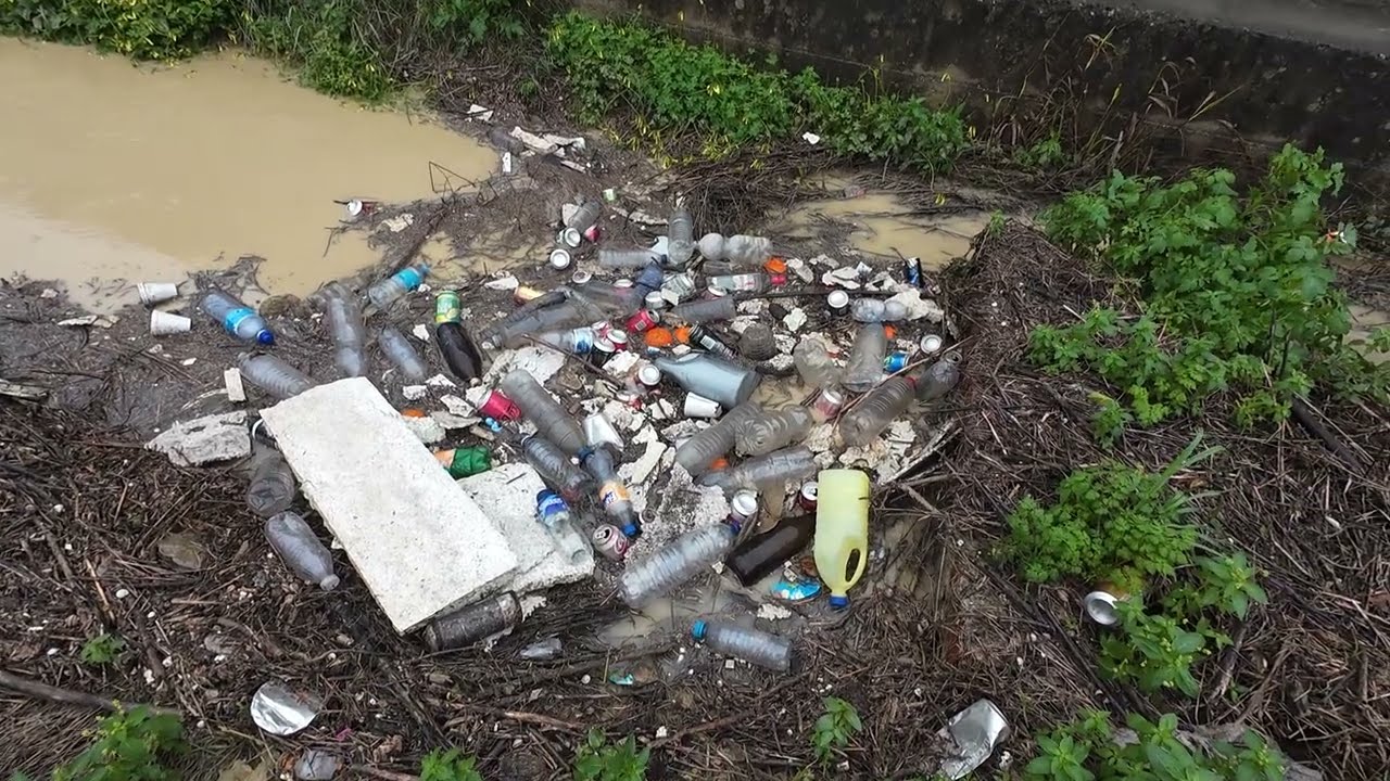 AQUI ESTA LA MADRE DEL CORDERO