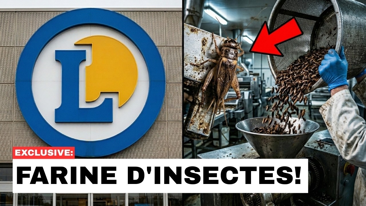 Farine d'Insectes, Additifs Cachés, Origines Floues  Ce que Contient Vraiment votre Panier
