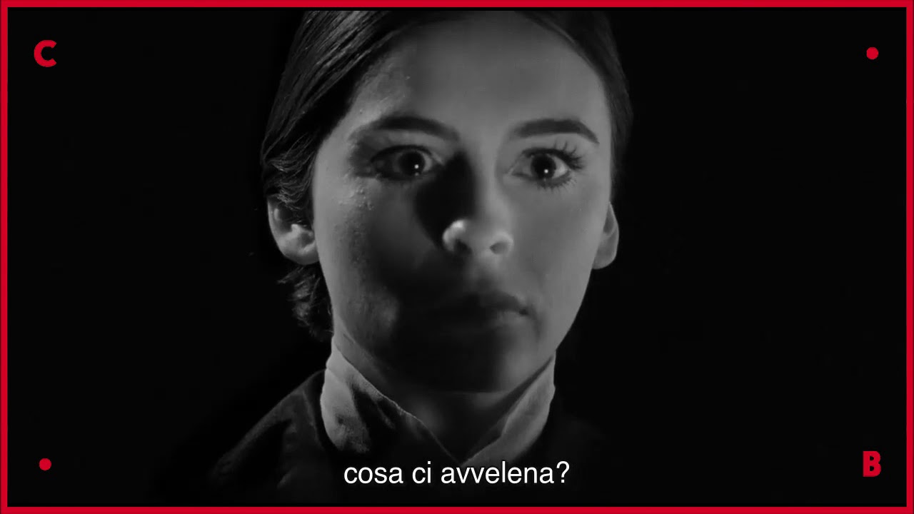 9 DITA ● un film di F.J Ossang