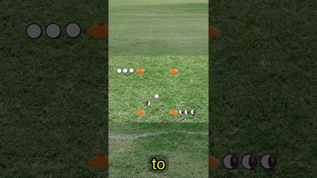 Snake - Flag Football Flag Pulling Drill