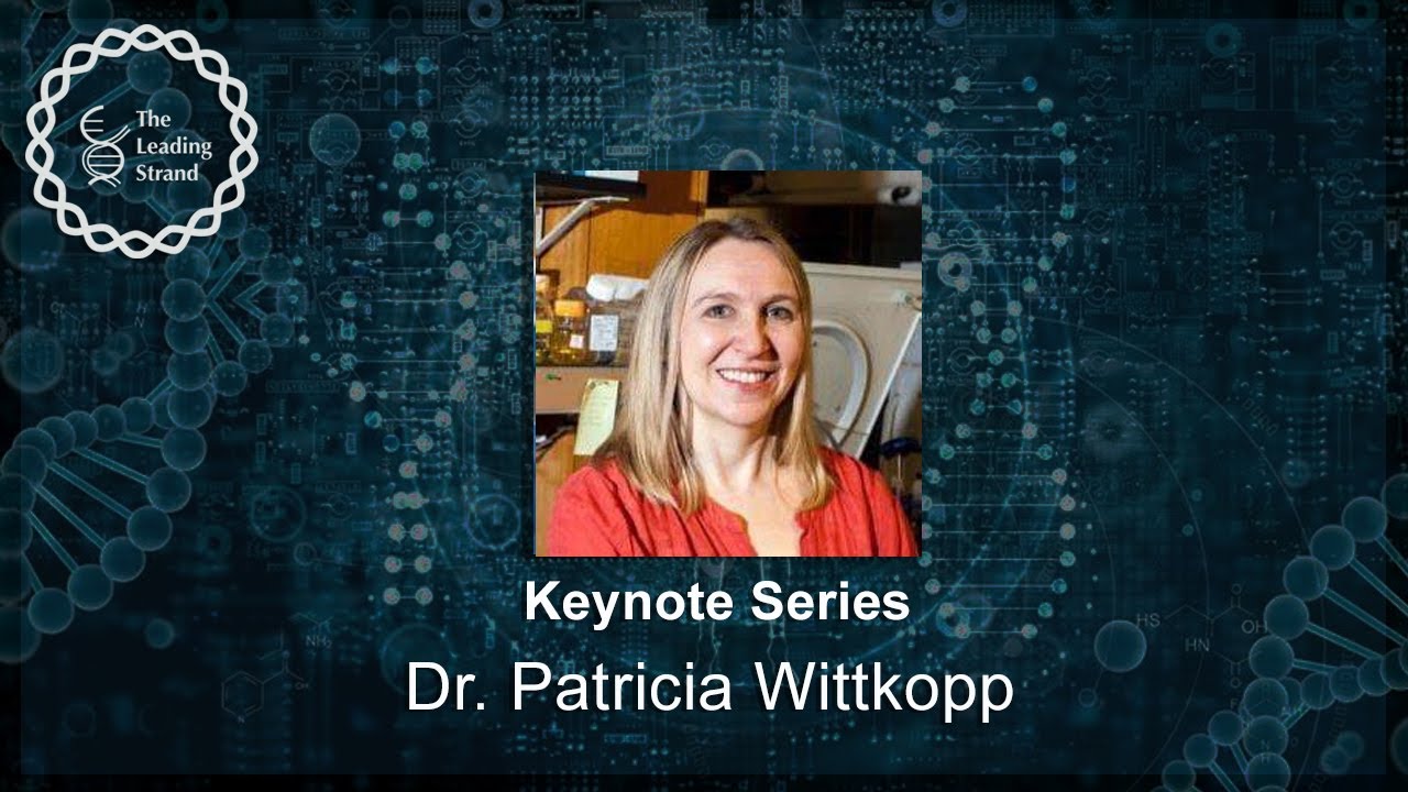 CSHL Keynote, Dr. Patricia Wittkopp, University of Michigan