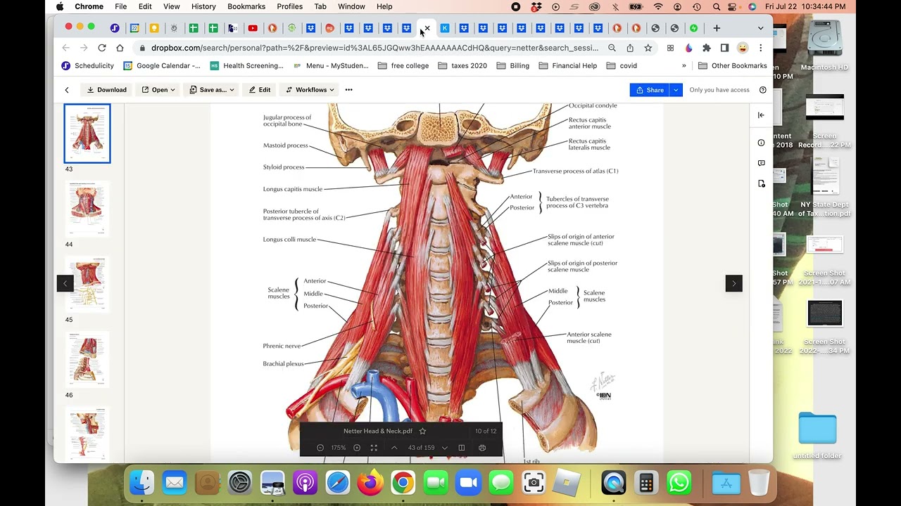MBLex Kinesio 12 review - study this first