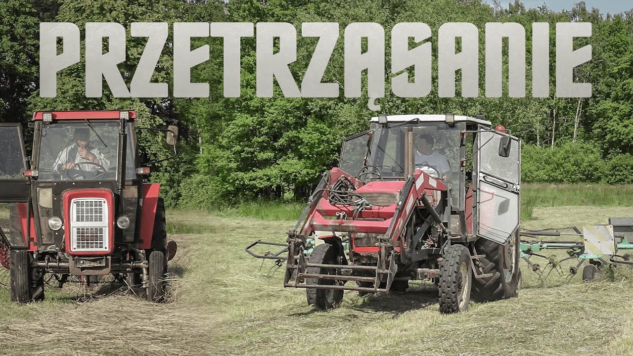 🇵🇱Przetrząsanie na 2㋛︎Polskie Sianokosy 2023㋛︎Ursus&Zetor㋛︎Lubuskie