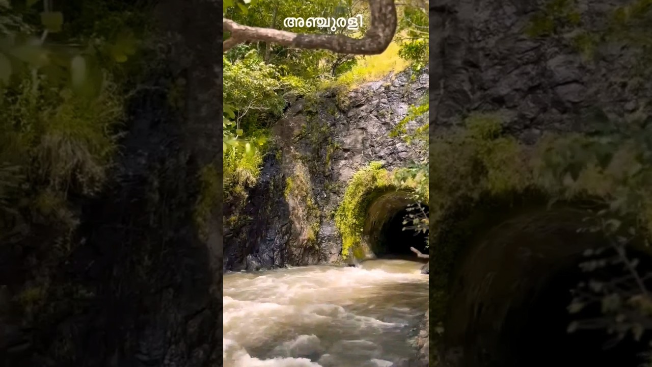 Idukki #idduki #munnar #youtubeshorts