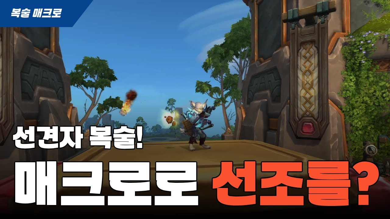 선견자 복술을 플레이할 때 개인적으로 사용하는 매크로