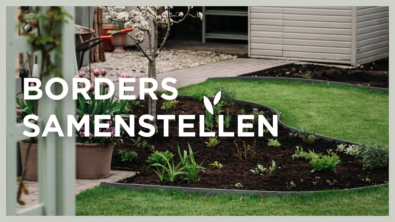 Zo maak je een bloemenborder in de tuin | tips, plantenkeuzes & verzorging I Angelo Dorny