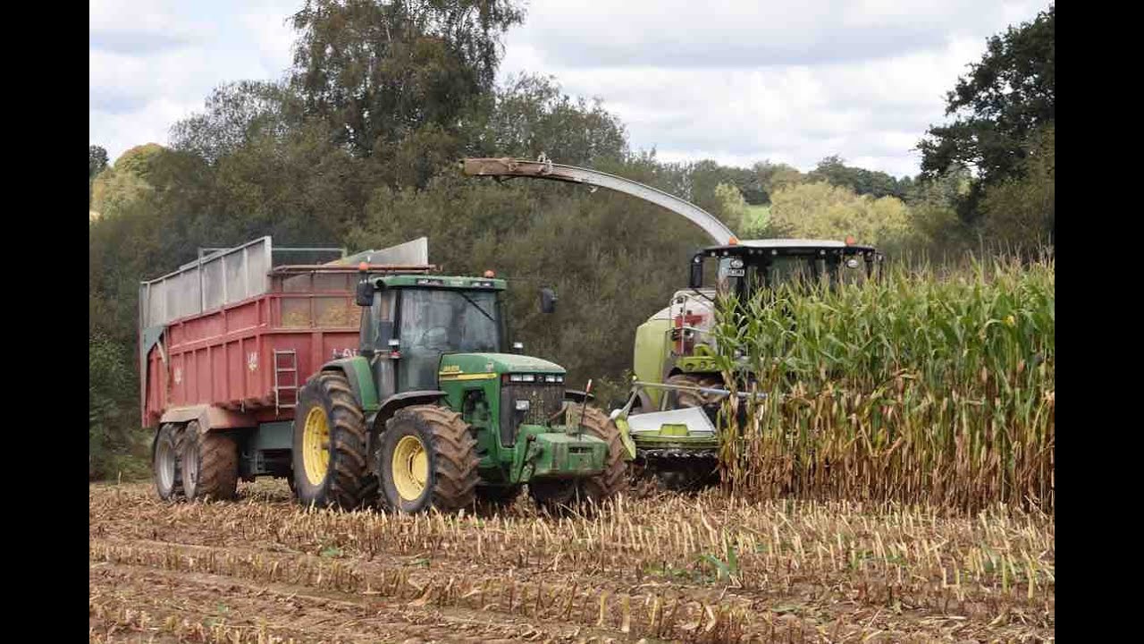 Ensilage de Mais 2017 l CUMA La Travailleuse l New CLAAS Jaguar 950 l Corn Silage 2017