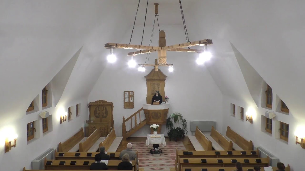 A szív gravitációja